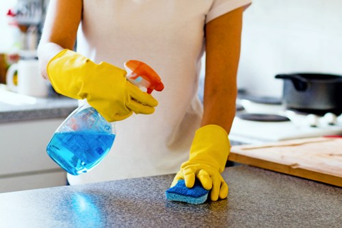 Cleaner maintaining a kitchen and living space on a regular schedule