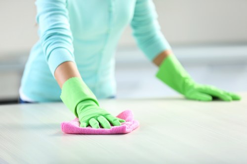 Domestic cleaning for kitchens and bathrooms in Enfield