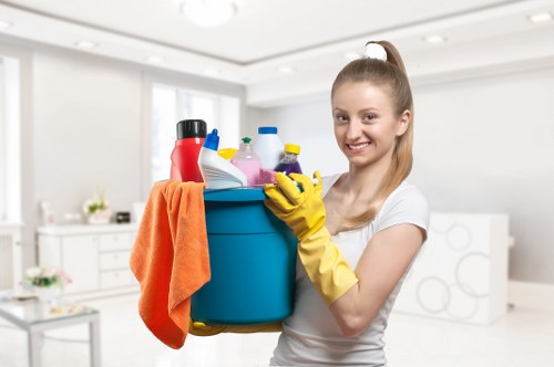 Professional window cleaning tools and equipment for Enfield properties