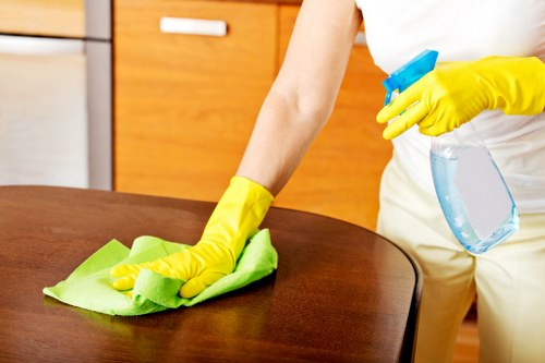 Stain removal and carpet care for busy households in Enfield