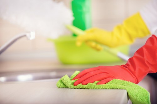 Deep cleaning process for pet urine odour removal in an Enfield property